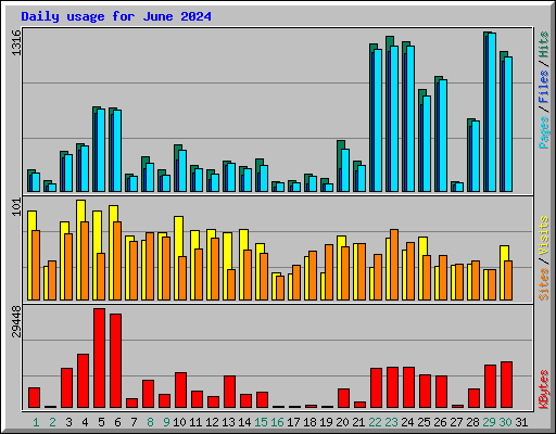 Daily usage for June 2024