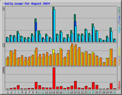 Daily usage for August 2024