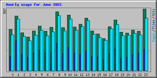 Hourly usage for June 2021