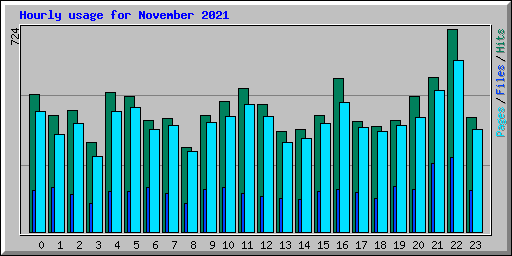 Hourly usage for November 2021