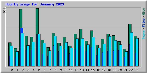 Hourly usage for January 2023