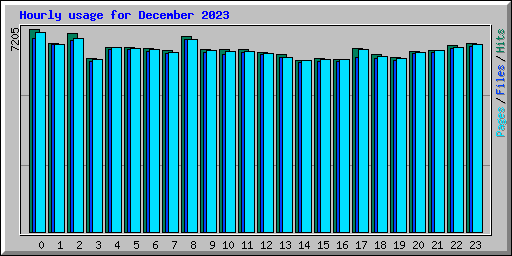 Hourly usage for December 2023