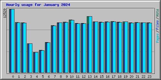 Hourly usage for January 2024