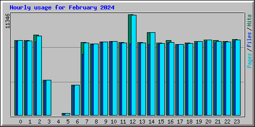 Hourly usage for February 2024