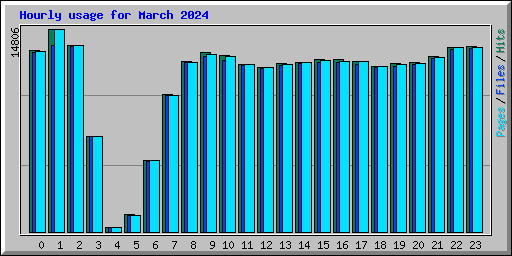 Hourly usage for March 2024