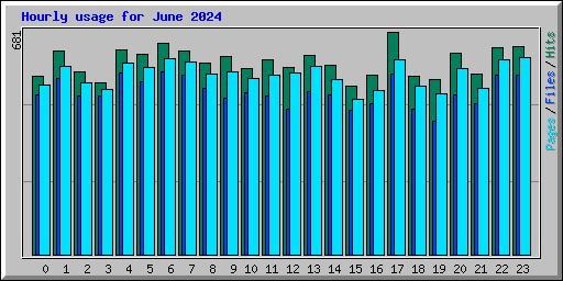 Hourly usage for June 2024