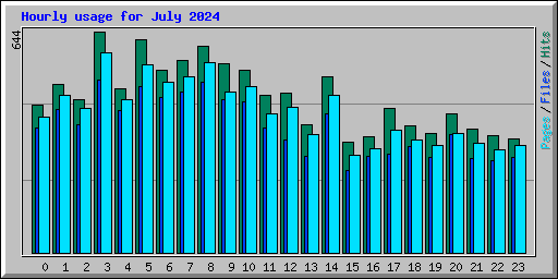 Hourly usage for July 2024