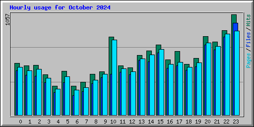 Hourly usage for October 2024